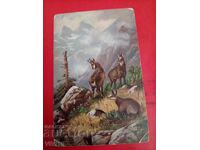 Старинна пощенска картичка 1917г