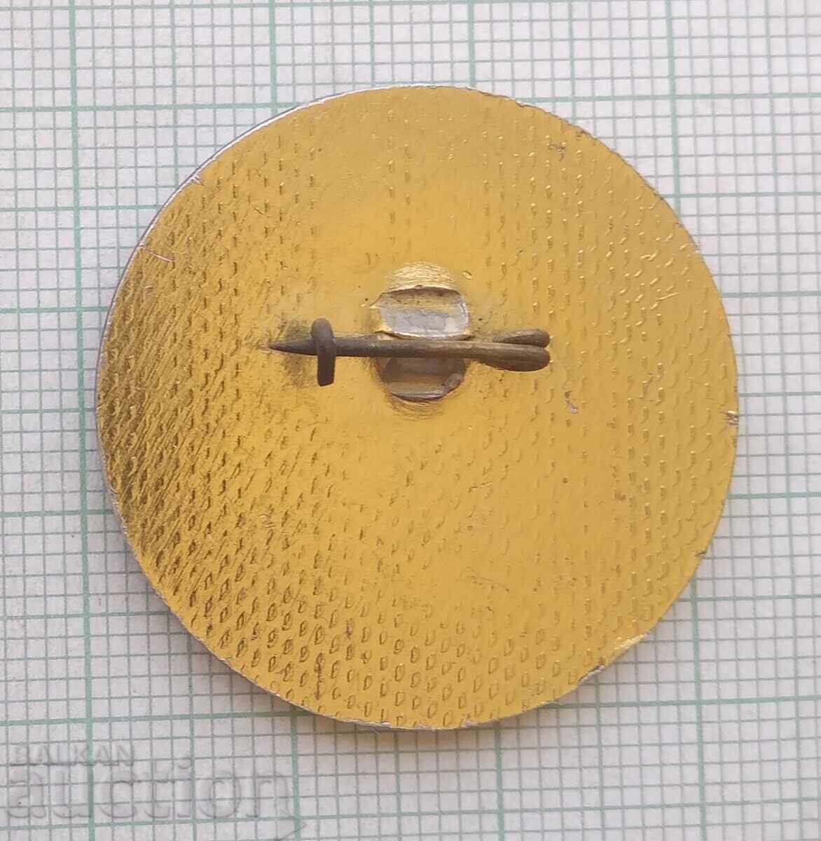 Аукцион 19109 Значка - 10 години Младежки стан 250 МК Кремиковци