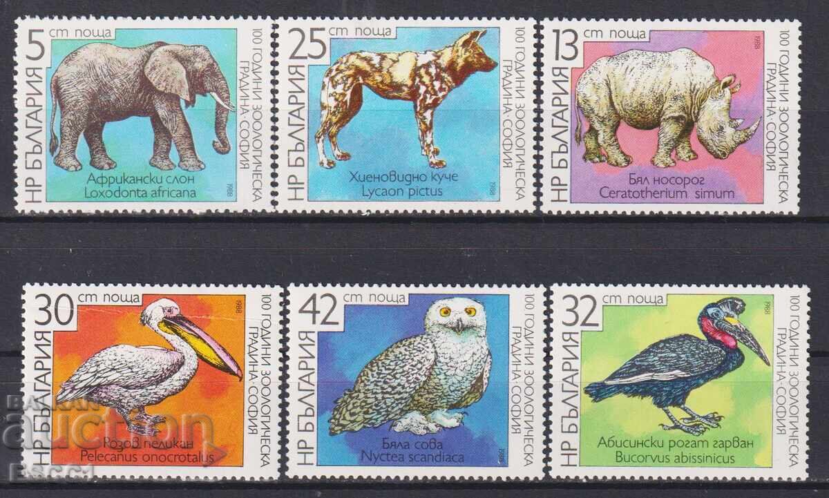 Clean stamps Fauna Zoo Sofia 1988 Bulgaria Clean stamps Fauna Zoo Sofia 1988 Bulgaria