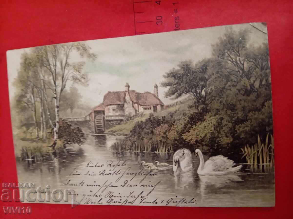 Carte poștală veche din 1903