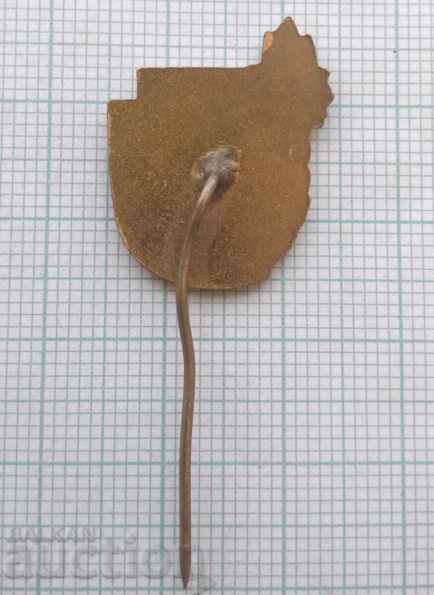 Auction  19119 Badge - Young Tourist - Bronze Enamel