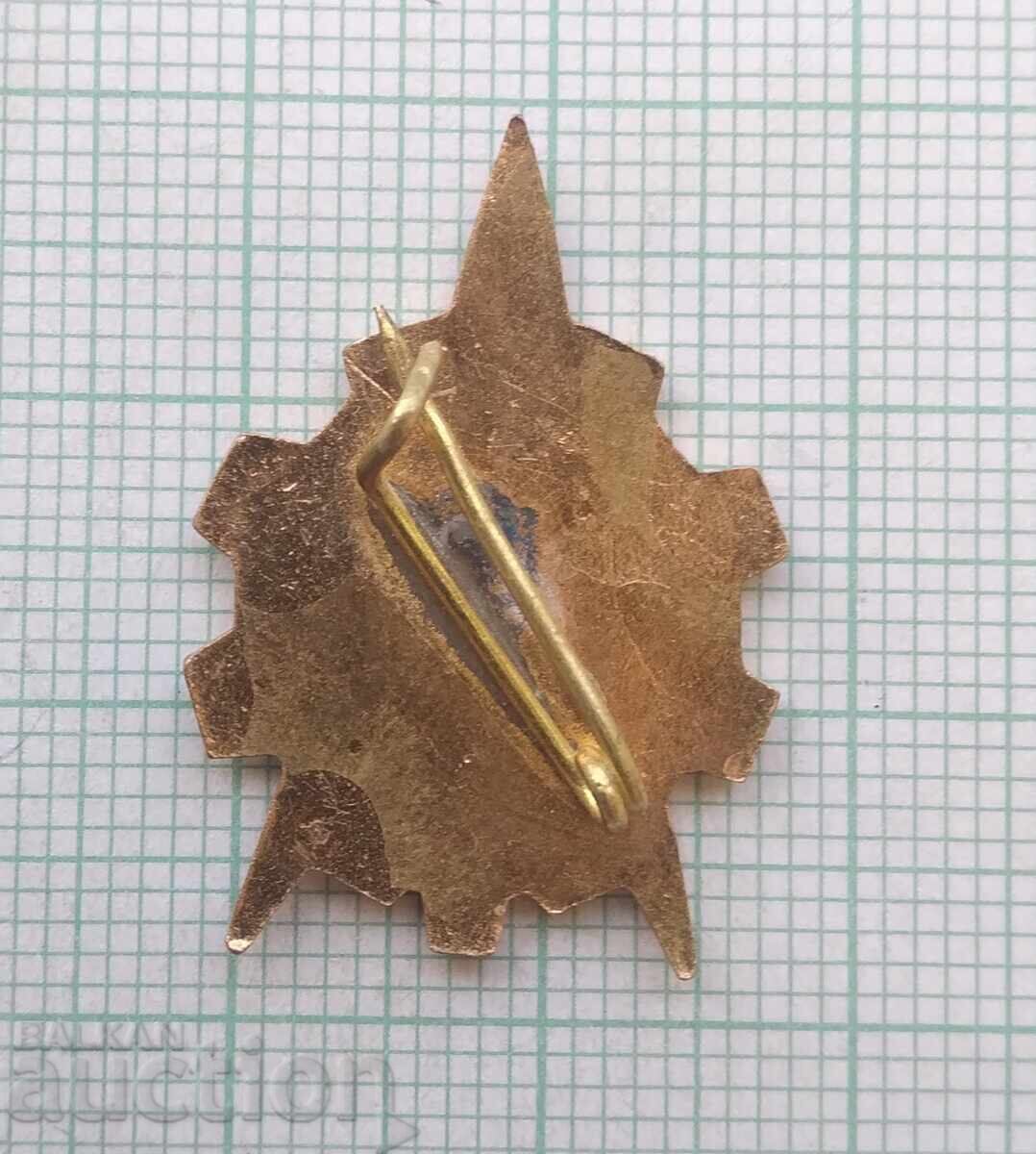 Auction  19120 Badge - Junior Technician - Bronze Enamel