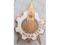 19120 Insignă - Tehnician Junior - email bronz