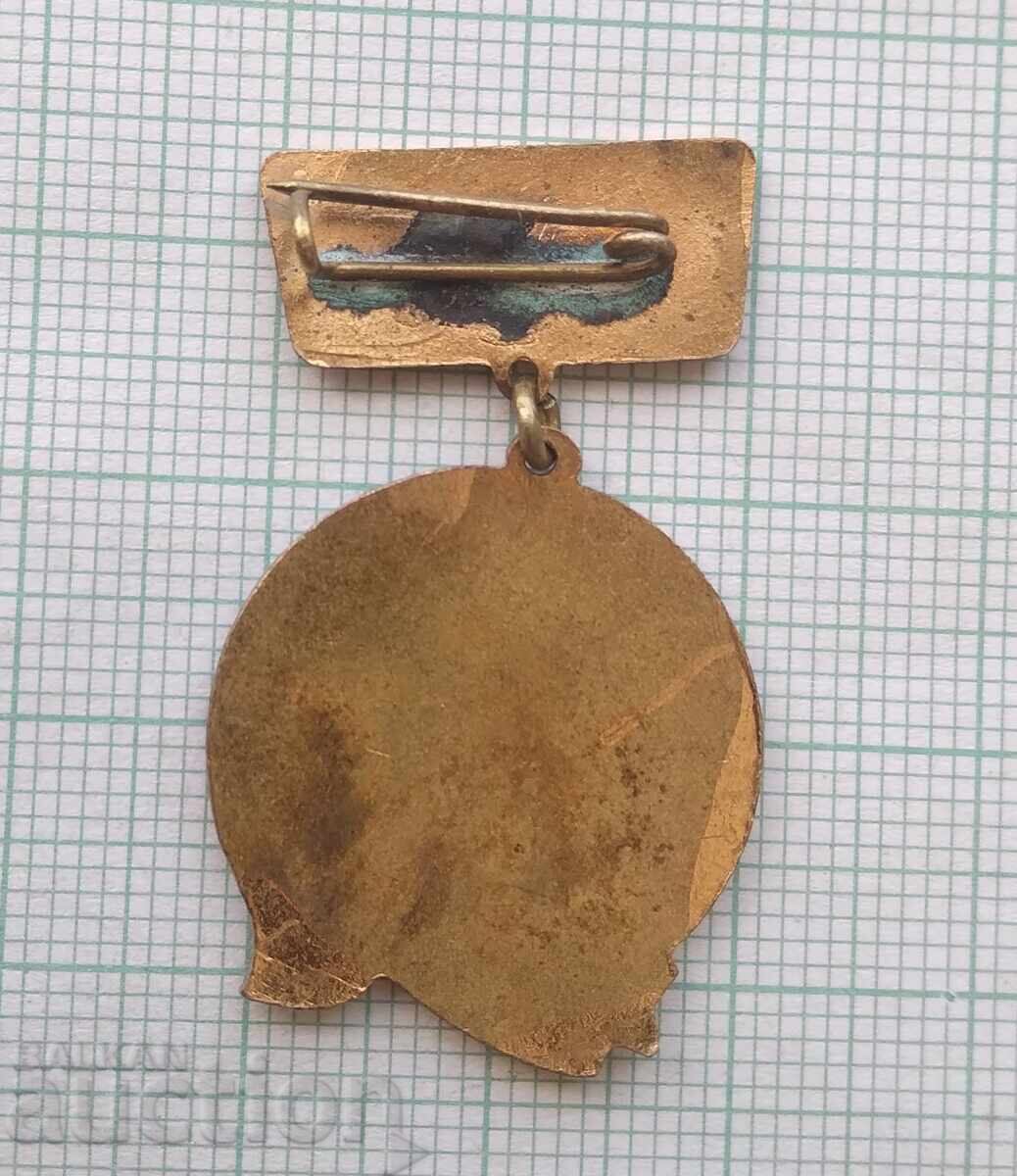 Licitație 19122 Insignă - Excelent la învățătură și sport - email bronz