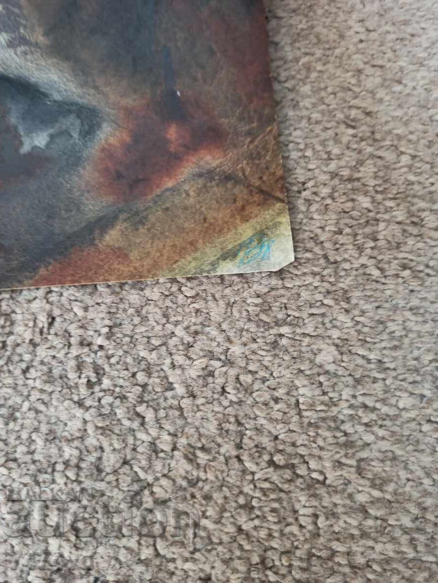 ΣΤΑΡ ΑΚΟΥΑΡΕΛ ΒΕΝΕΛΙΝ ΚΟΚΟΡΑΝΟΦ ΑΠΟ ΠΡΟΣΩΠΙΚΗ ΣΥΛΛΟΓΗ με τιμή 400.00 BGN | € 204.52