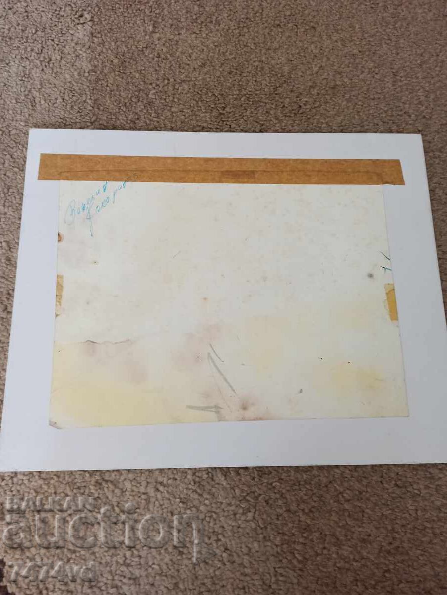 Δημοπρασία ΣΤΑΡ ΑΚΟΥΑΡΕΛ ΒΕΝΕΛΙΝ ΚΟΚΟΡΑΝΟΦ ΑΠΟ ΠΡΟΣΩΠΙΚΗ ΣΥΛΛΟΓΗ