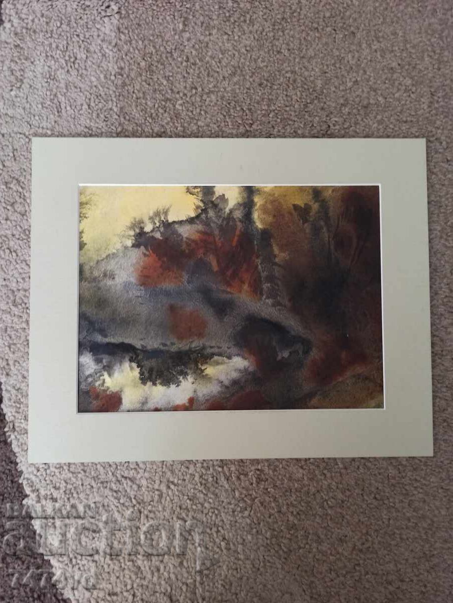 ΣΤΑΡ ΑΚΟΥΑΡΕΛ ΒΕΝΕΛΙΝ ΚΟΚΟΡΑΝΟΦ ΑΠΟ ΠΡΟΣΩΠΙΚΗ ΣΥΛΛΟΓΗ