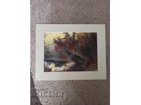 ΣΤΑΡ ΑΚΟΥΑΡΕΛ ΒΕΝΕΛΙΝ ΚΟΚΟΡΑΝΟΦ ΑΠΟ ΠΡΟΣΩΠΙΚΗ ΣΥΛΛΟΓΗ