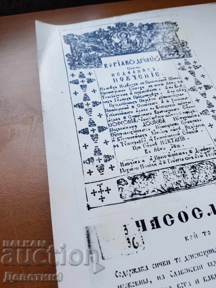 Panou social școlar, afiș foto 40/30 cm - 5