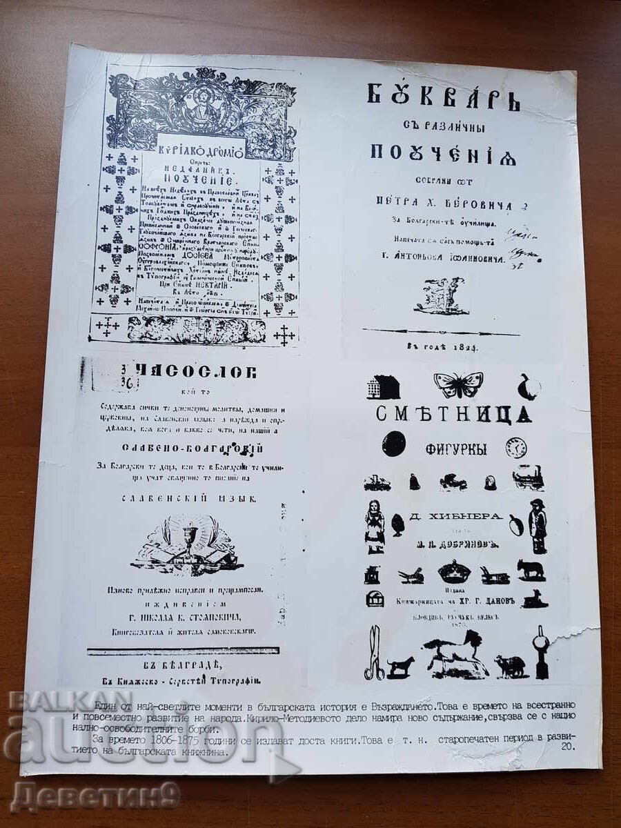 Panou social școlar, afiș foto 40/30 cm