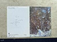 Old Postcard - USSR - Happy New Year! - 1981