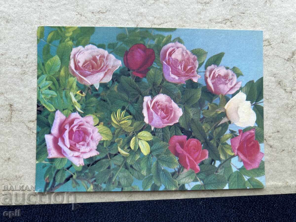 Καθαρή Παλιά Κάρτα - ΕΣΣΔ