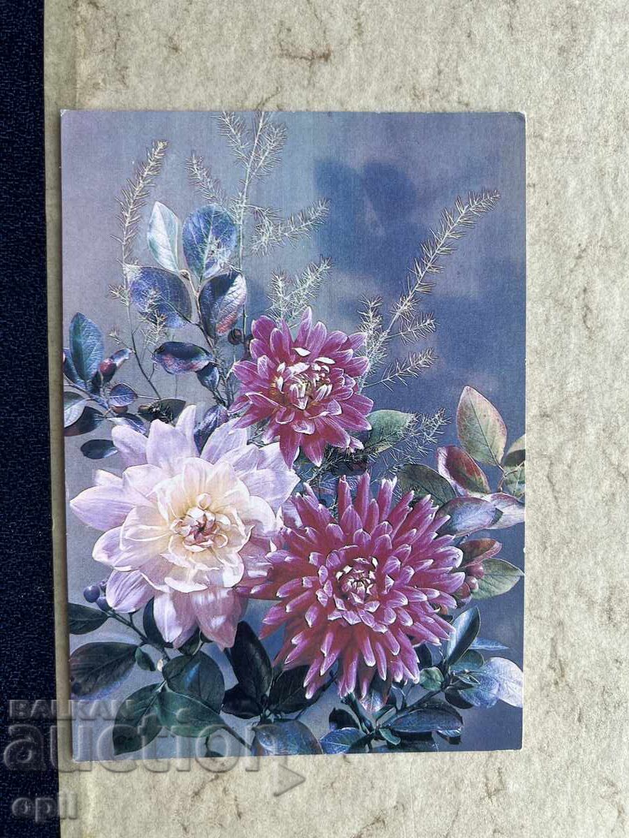 Чиста Стара Картичка - СССР