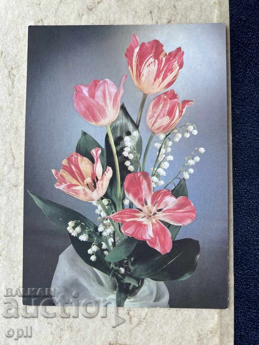 Καθαρή Παλιά Κάρτα - ΕΣΣΔ - Συγχαρητήρια!