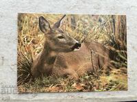 Καθαρή Παλιά Κάρτα - ΕΣΣΔ