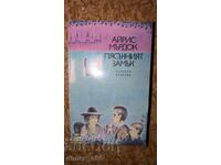 Iris Murdoch's Sandcastle