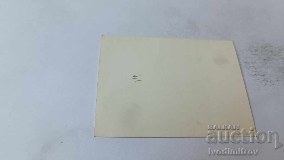 Fotografie Bărbați și femei în costume de baie pe iarbă cu preț 1.65 BGN | € 0.84