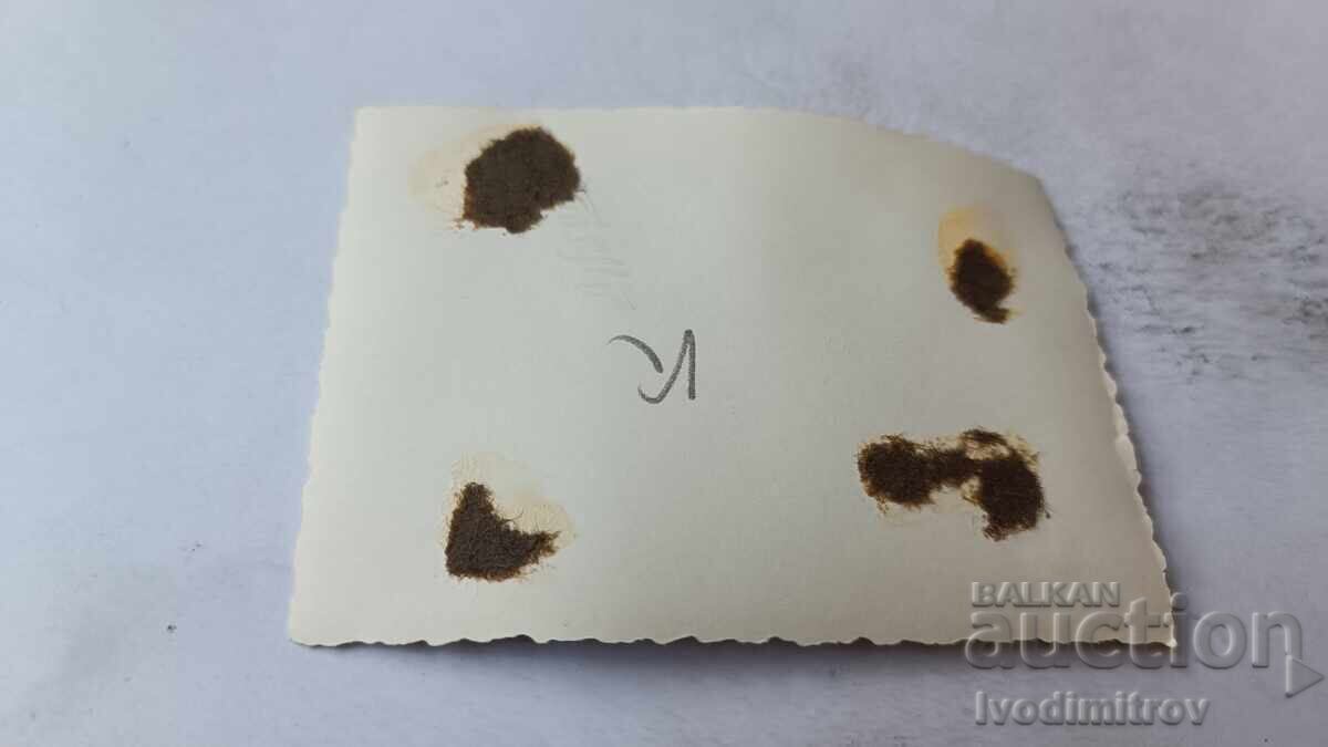 Снимка Три жени и момче седнали на пейка на пристана с цена 1.65 лв. | € 0.84