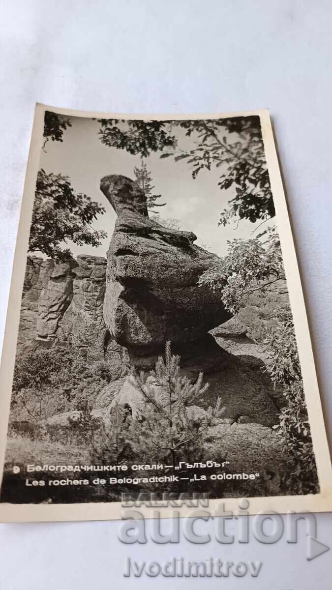 Ευχετήρια κάρτα Βράχια του Μπελογκράντσικ, Το Περιστέρι