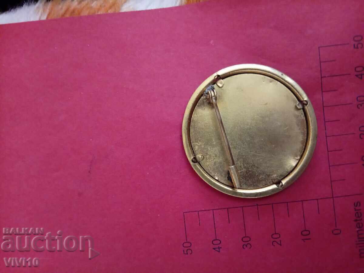 Αντίκα καρφίτσα Γαλλίας με τιμή € 20.00 | 39.12 BGN