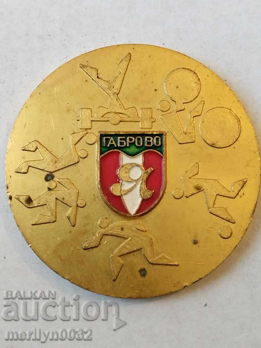 Old Bronze Plaque Gabrovo