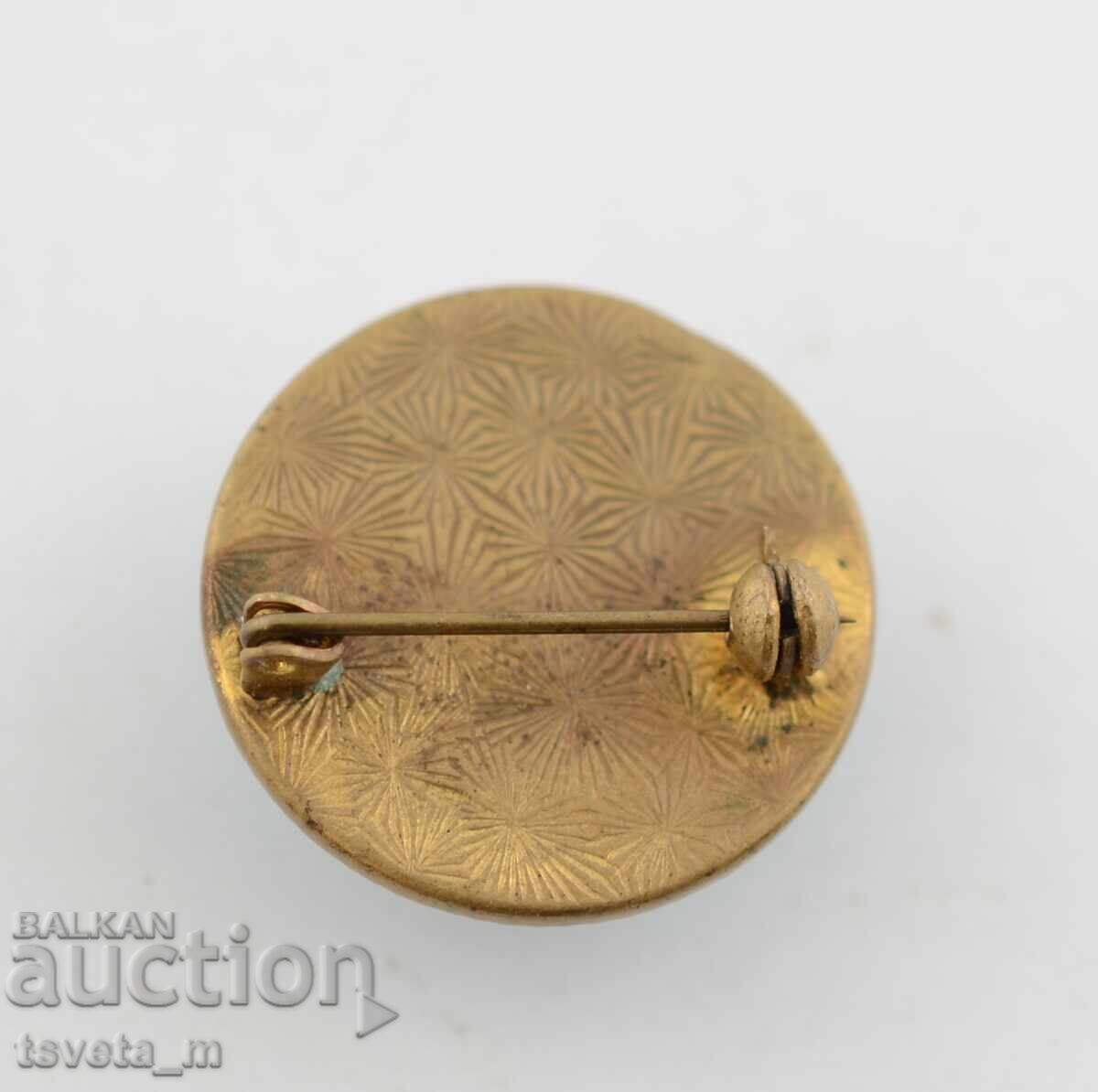 Καρφίτσα, καρφίτσα με τιμή 4.00 BGN | € 2.05