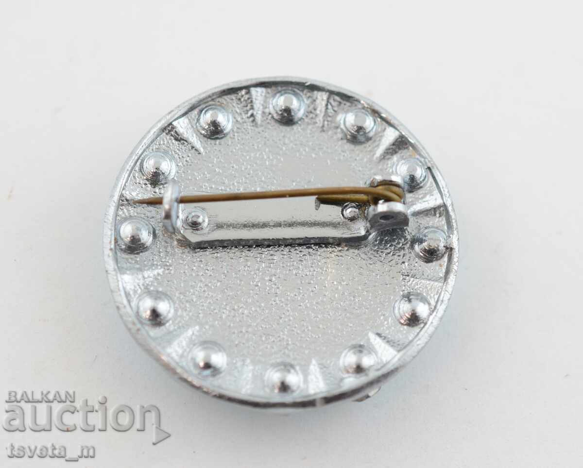 Καρφίτσα, καρφίτσα με τιμή 4.00 BGN | € 2.05