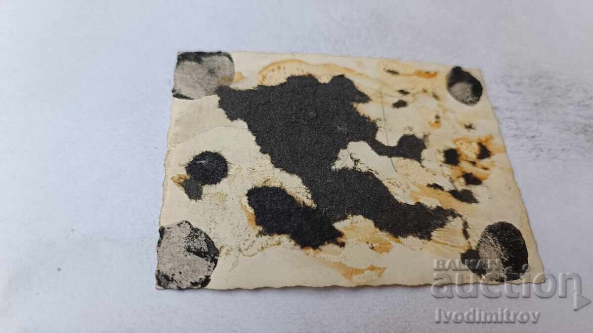 Снимка Футболен отбор на стадиона с цена 2.85 лв. | € 1.46 Снимка Футболен отбор на стадиона с цена 2.85 лв. | € 1.46