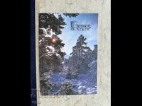 Стара Картичка - СССР - С Новым Годом! - 1979