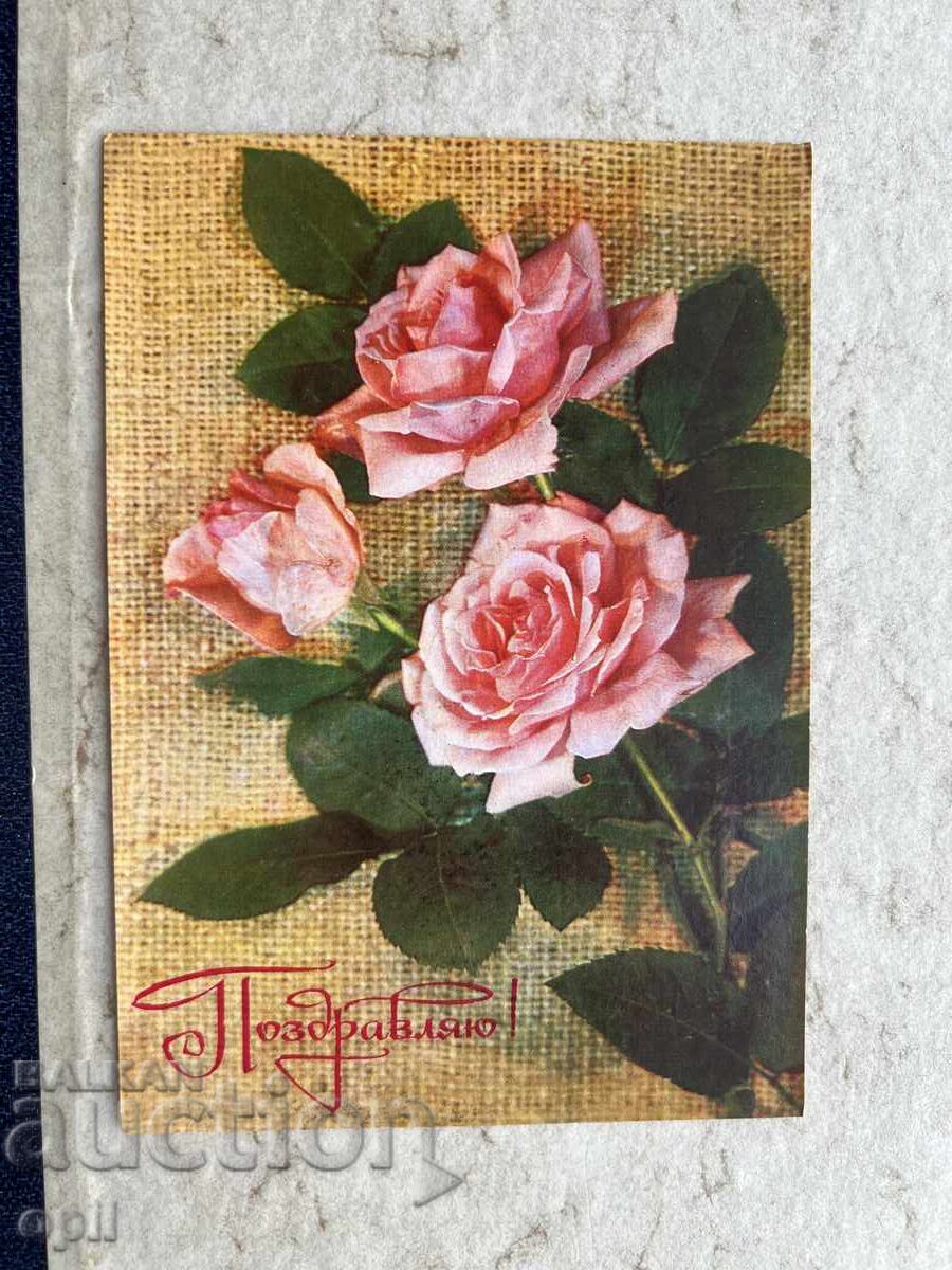 Old Postcard - USSR - Congratulations!