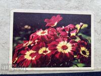 Παλιά Κάρτα - ΕΣΣΔ - 8 Μαρτίου - 1969