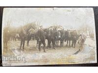 4964 Regatul Bulgariei fotografie de gardieni și călăreți regali anii '30