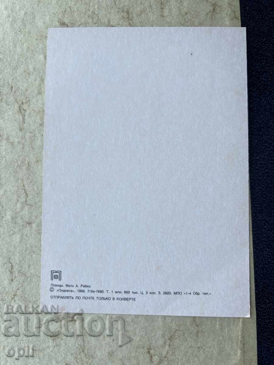 Чиста Стара Картичка - СССР с цена 1.50 лв. | € 0.77