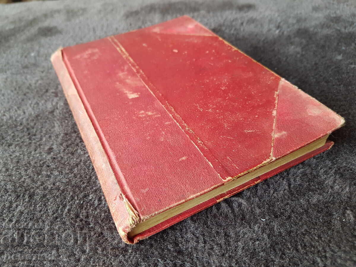 She or No Other - Mrs. Suzanne Gagnebin - 5