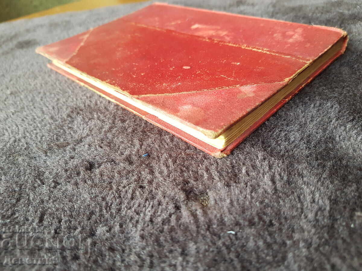 She or No Other - Mrs. Suzanne Gagnebin - 6