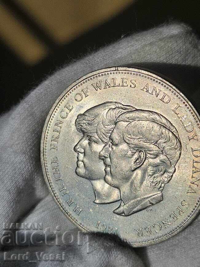 Auction  25 new pens 1981