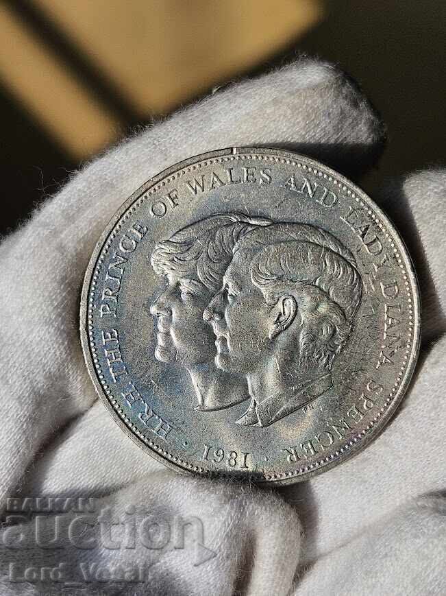 25 νέα πένες 1981 - 5