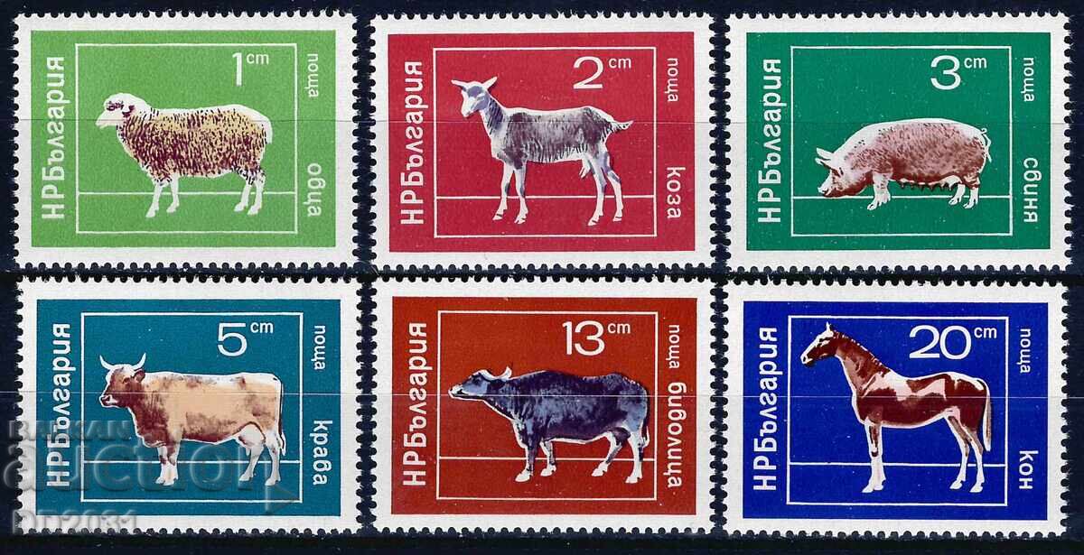 Βουλγαρία 1974 - ζώα MNH