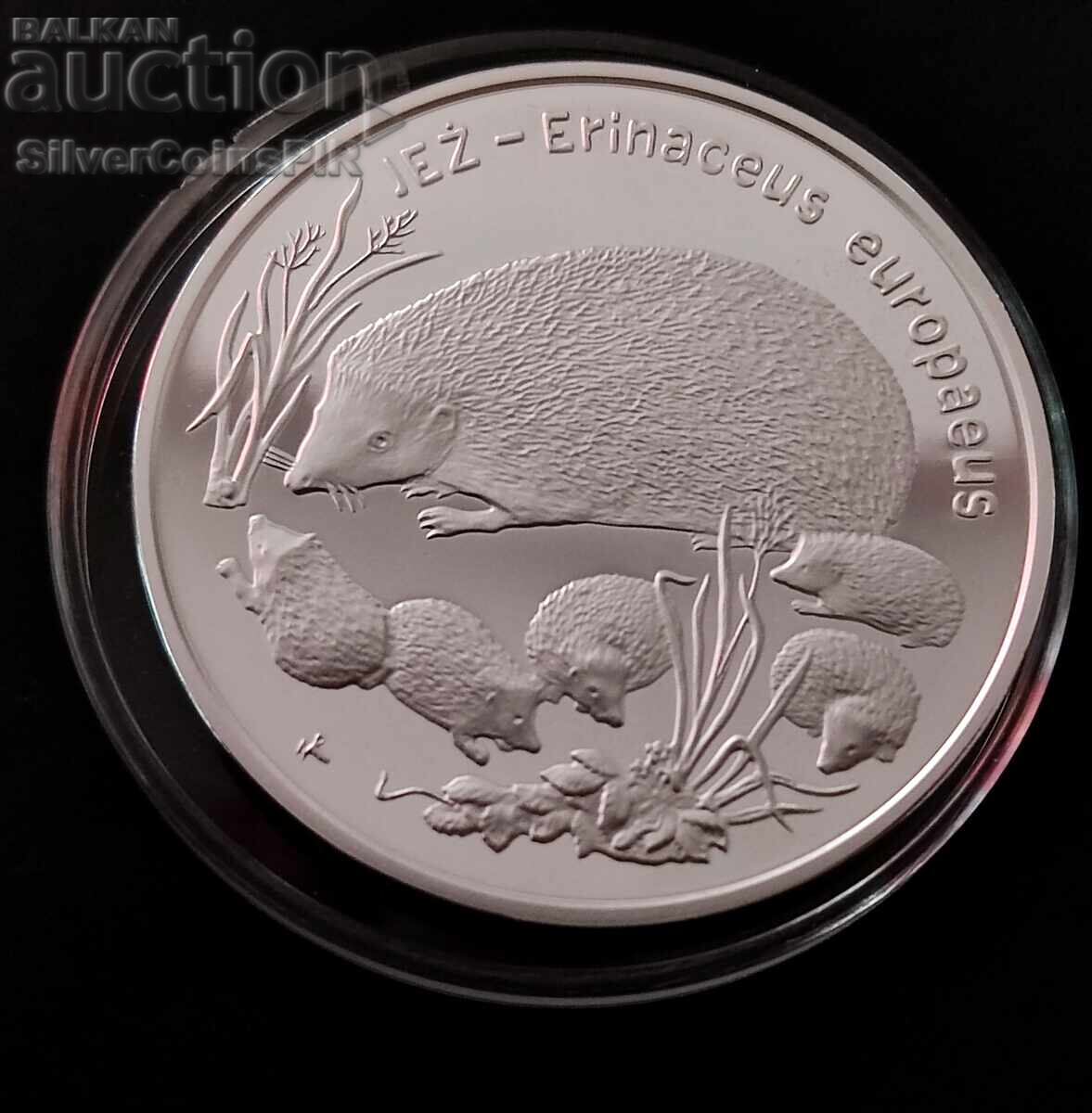 Auction Silver 20 Zloty Hedgehog 1996 Poland Endangered Animals Auction Silver 20 Zloty Hedgehog 1996 Poland Endangered Animals