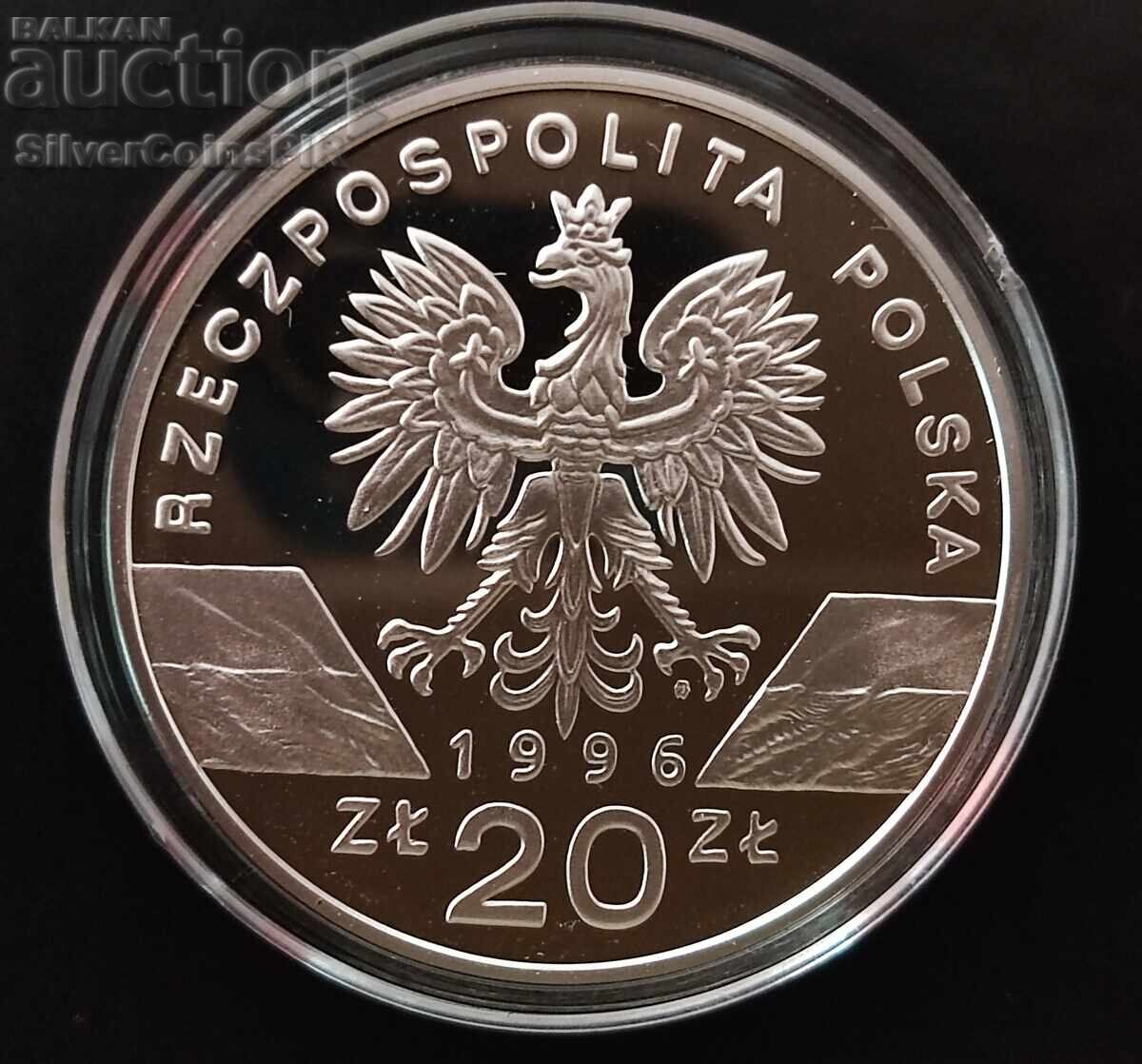 Delivery of Silver 20 Zloty Hedgehog 1996 Poland Endangered Animals Delivery of Silver 20 Zloty Hedgehog 1996 Poland Endangered Animals