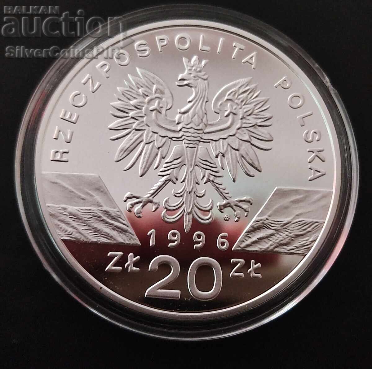 Silver 20 Zloty Hedgehog 1996 Poland Endangered Animals - 5 Silver 20 Zloty Hedgehog 1996 Poland Endangered Animals - 5