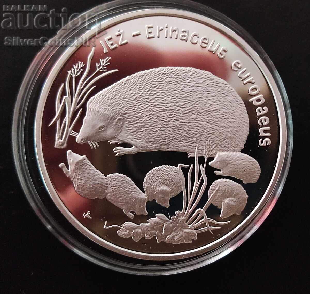 Silver 20 Zloty Hedgehog 1996 Poland Endangered Animals Silver 20 Zloty Hedgehog 1996 Poland Endangered Animals