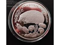 Silver 20 Zloty Hedgehog 1996 Poland Endangered Animals