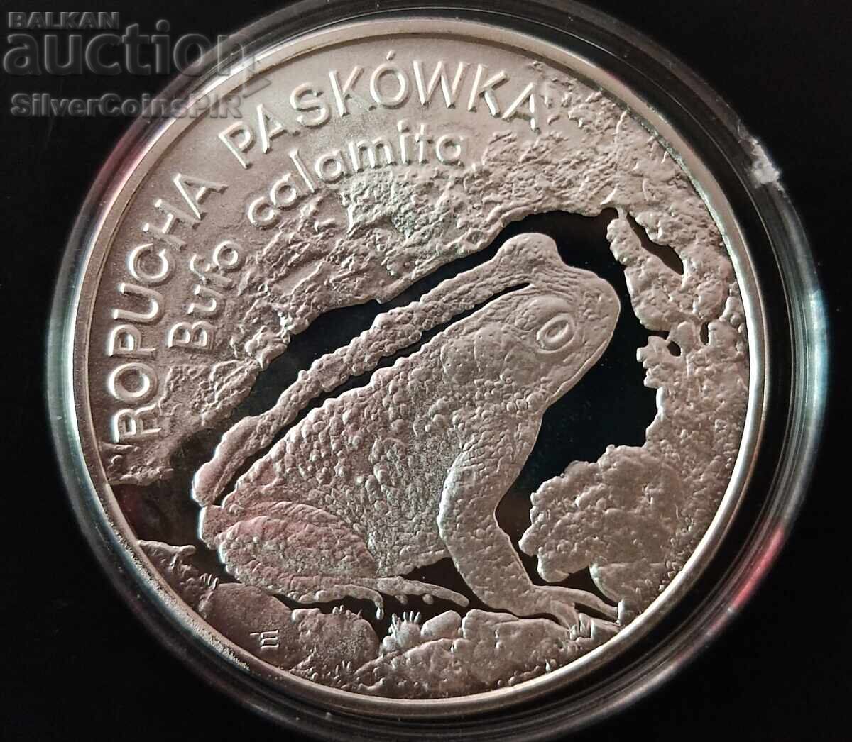 Silver 20 Zloty Frog 1998 Poland Endangered Animals with price 250.00 BGN | € 127.82 Silver 20 Zloty Frog 1998 Poland Endangered Animals with price 250.00 BGN | € 127.82