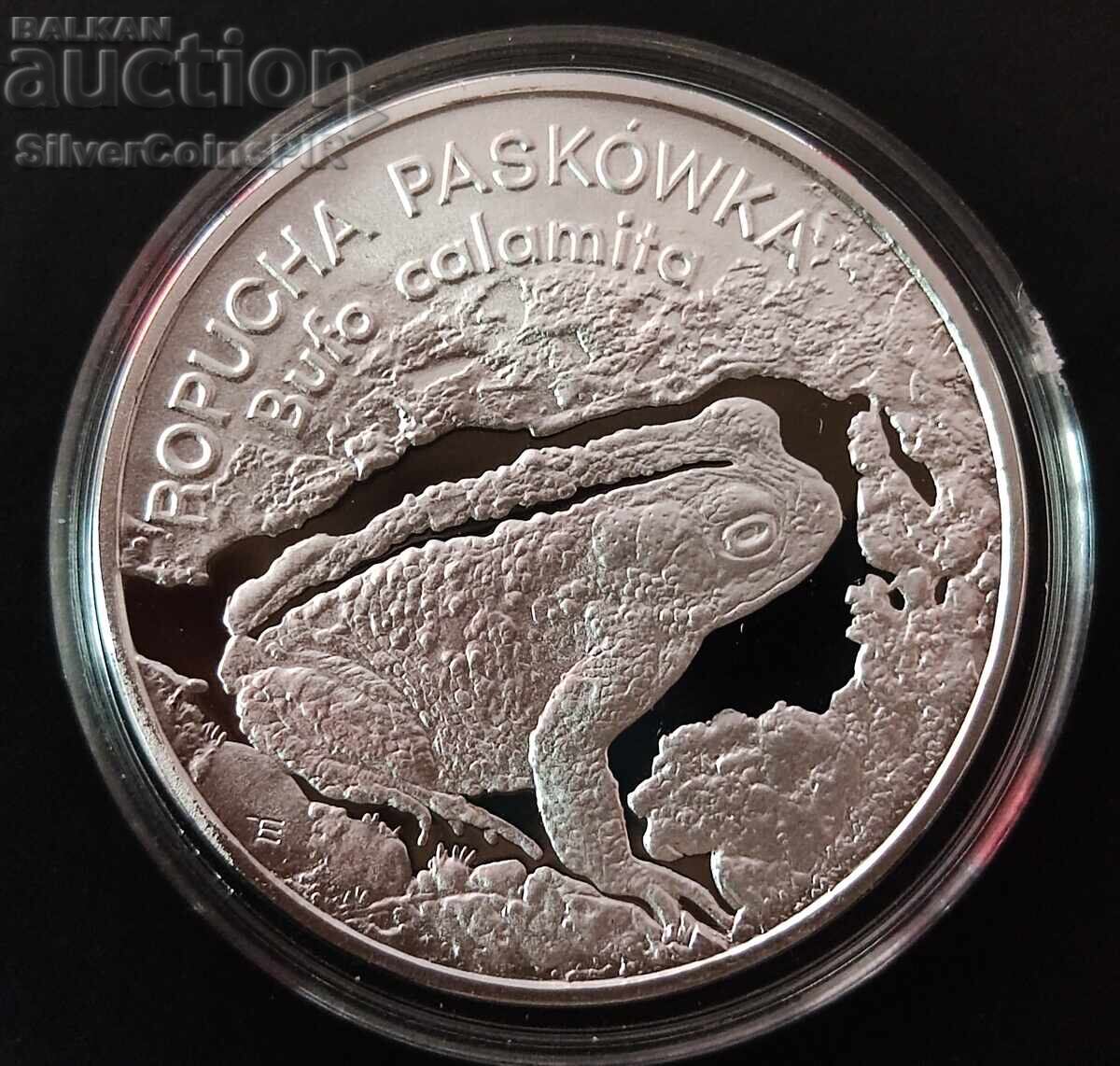 Silver 20 Zloty Frog 1998 Poland Endangered Animals Silver 20 Zloty Frog 1998 Poland Endangered Animals