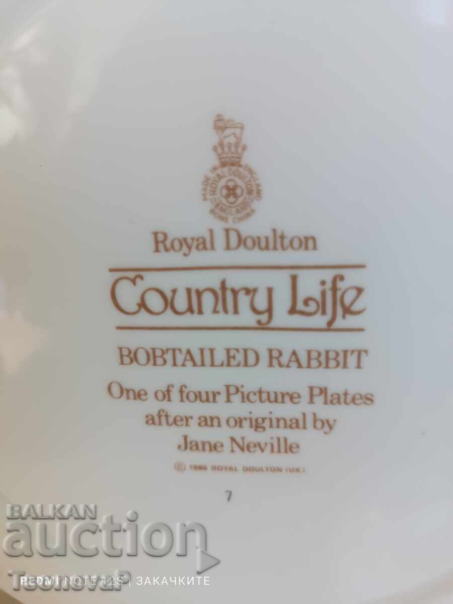 Decorative porcelain plate by Royal Doulton - 5