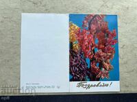 Παλιά Κάρτα - ΕΣΣΔ - Συγχαρητήρια! - 1972