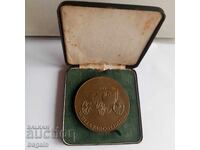 Medalie-plachetă rară din bronz