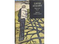 Κουνέλι, τρέξε; Ας παντρευτούμε - Τζον Άπνταϊκ