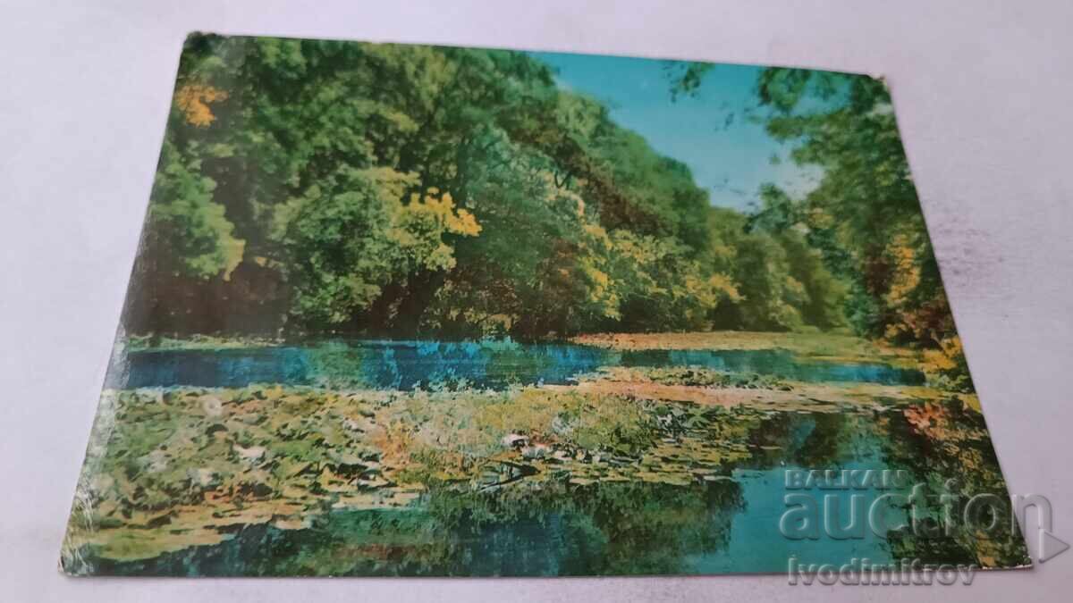 Carte poștală Râul Ropotamo 1961 Carte poștală Râul Ropotamo 1961